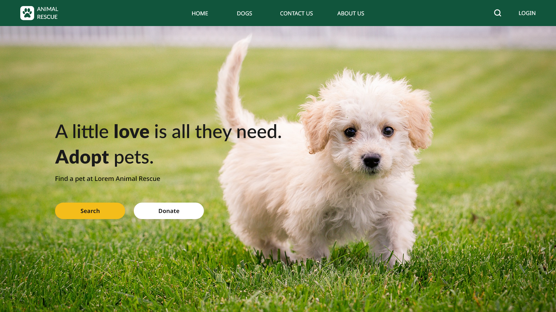 Lorem Animal Rescue