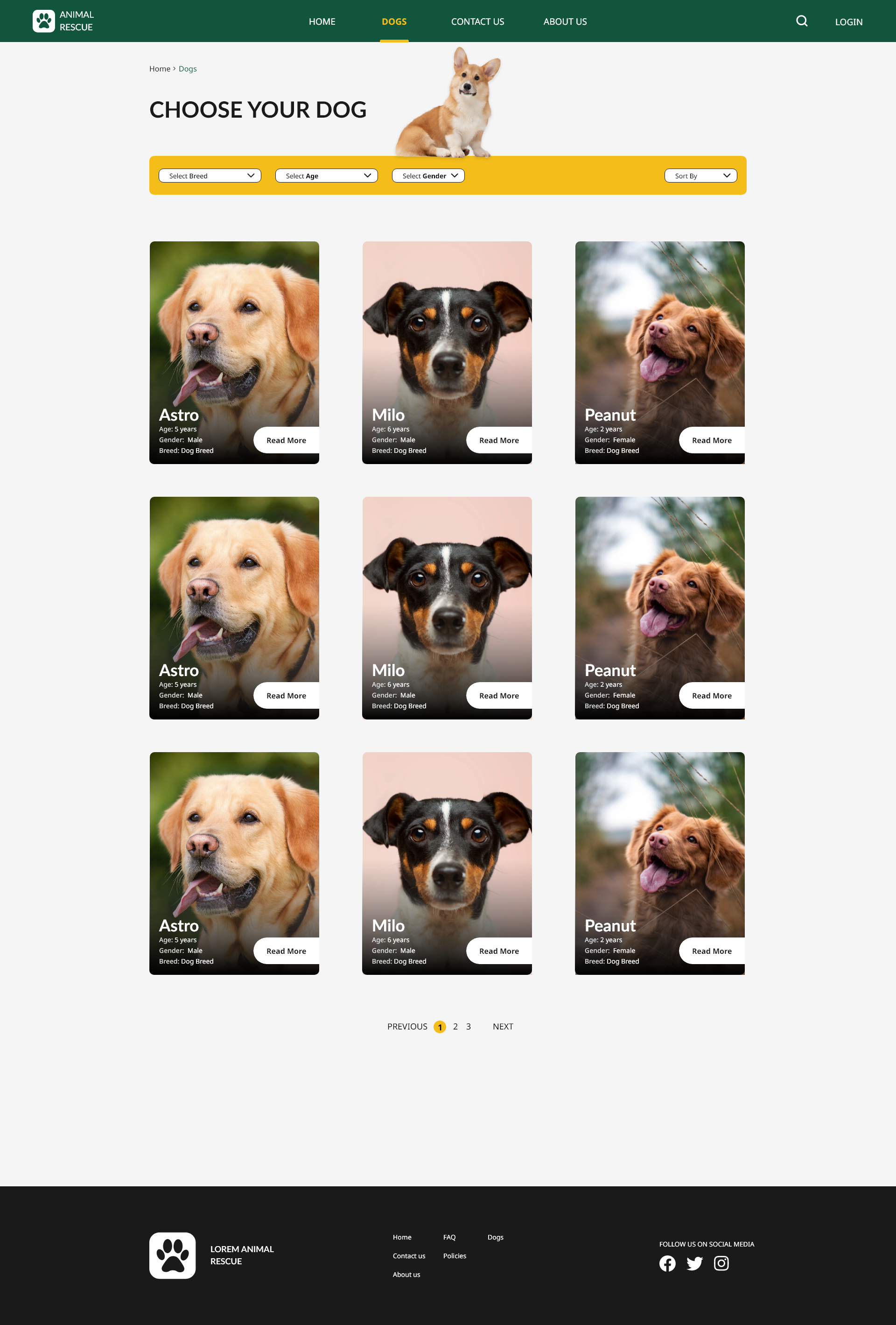 new dog category