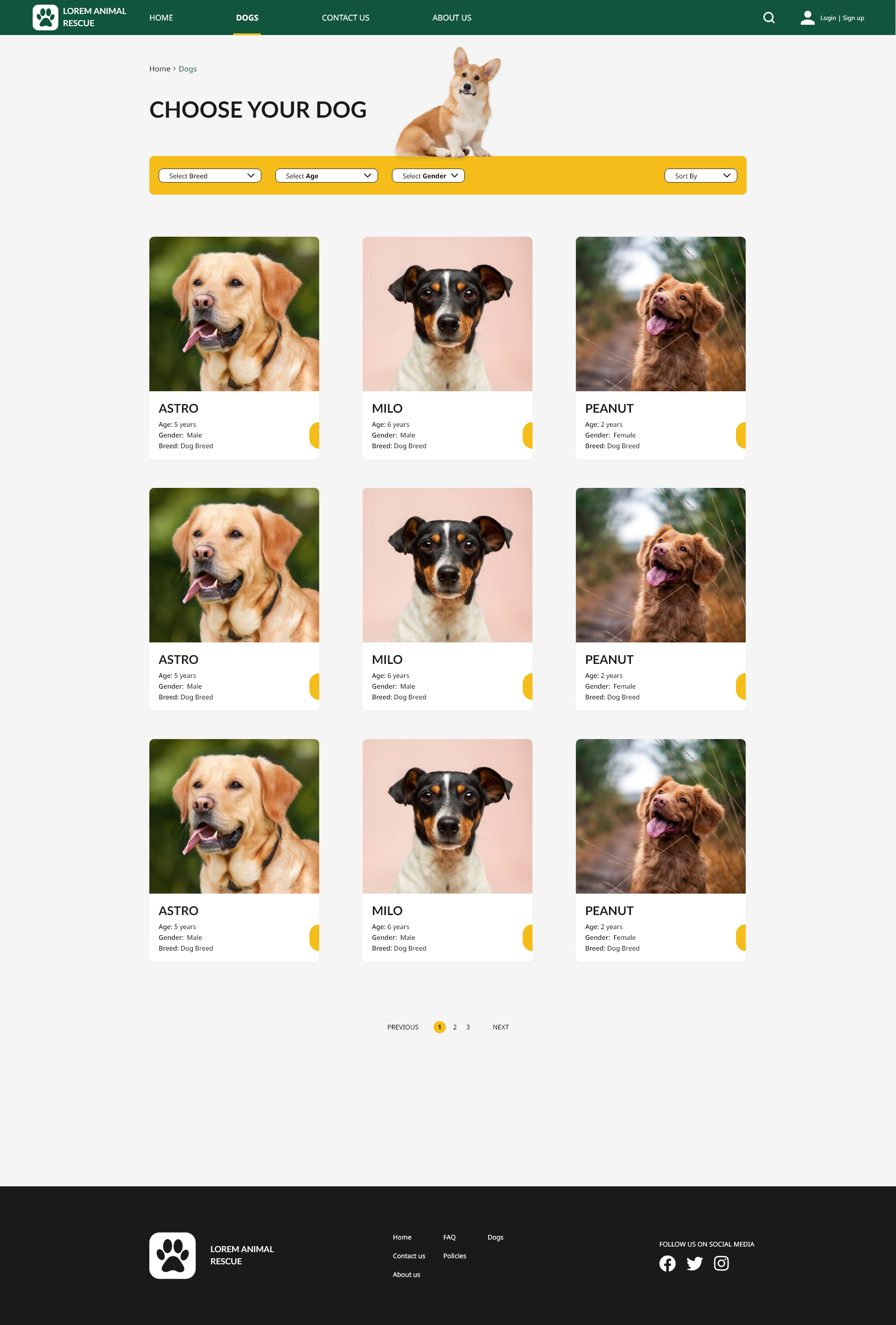 old dog category