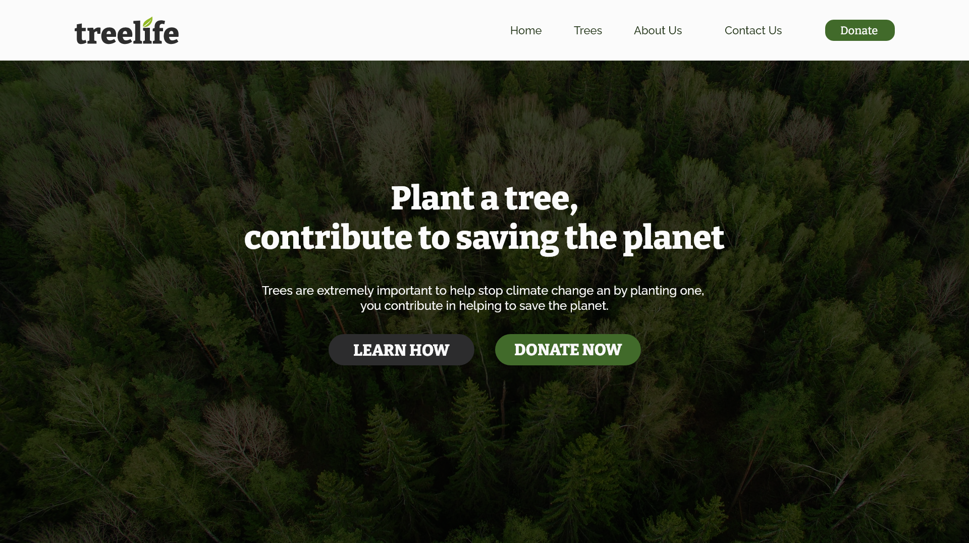 treelife website design screenshot